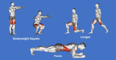 best home workout plans for beginners